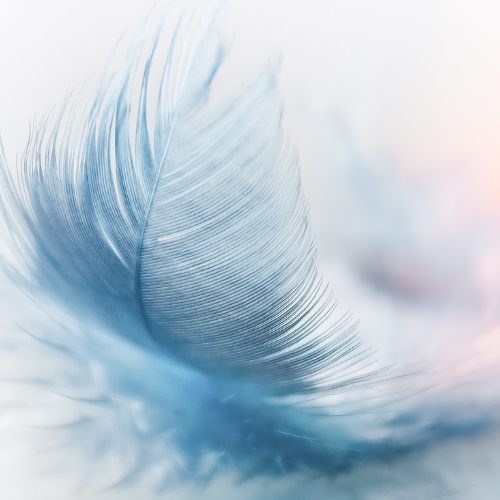 a feather to represent weightlessness during a reiki healing session