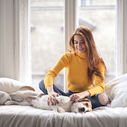 a calm environment to perform reiki healing, lady on a bed with dog on its side